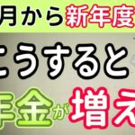 【2025年4月新年度】こうすると60歳から年金が増える人・減る人【経過的加算・在職定時改定・在職老齢年金】