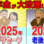 【完全解説】2025年5月から年金の激変が決定しました！国民の負担が激増で悲惨な老後が確定！年金制度改正法案で常識が崩壊します！【年金改正⧸106万円の壁】
