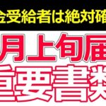 👴🏼 2025年6月に届く年金通知書は超重要！│増額・申請漏れを要確認│基礎控除の引き上げはどうなる？👴🏼