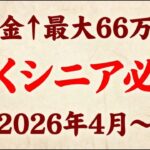 「働いたら負け」が終わる日｜2026年4月、シニアの年金が月5.5万円増える制度改正