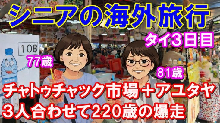 合計220歳でアユタヤ爆走！81歳と77歳を連れてチャトゥチャックから遺跡巡りまで…詰め込みすぎた1日の末路。#シニア旅行 #高齢者旅行