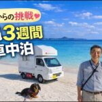 自作キャンピングシェルでシニア夫婦と犬一匹の3週間沖縄車中泊旅行