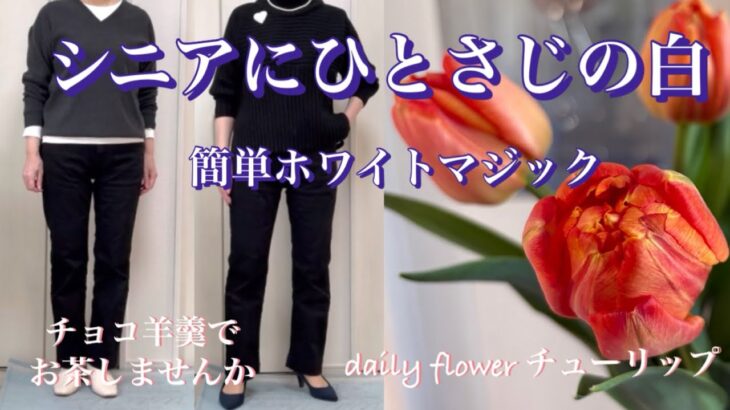 【あろはの妄想】シニアファッション 36 いつもの洋服にひと匙の白をプラス。それだけでオバ見え回避できました。無印のチョコ羊羹はとても美味しい備蓄品です。