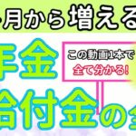 【4月から新年度】令和7年4月から増える『年金・給付金・保険料』変更点のすべて！全7選を分かりやすく解説！