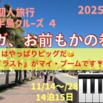 イベリア半島クルーズ４　マラガ、お前もか、の巻　シニアの旅行けば＃53