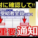 ˚⊱🪷⊰˚ 【超重要】6月に届く年金通知書の確認項目！ココだけは絶対にチェックして！【年金額改定通知書 振込通知書】˚⊱🪷⊰˚
