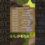 #シニアライフ #怖い話 #60歳代 #60代仕事 #年金事務所 #若い頃 #シニア就職 #雑学 #ビジネス