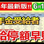 ˚⊱🪷⊰˚【要確認！】6月14日支給分から年金減額の基準額が改定！支給停止額がひと目でわかる早見表も紹介！【在職老齢年金】˚⊱🪷⊰˚