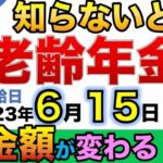 👴 【必見】6月15日「老齢年金」の年金額が変わる！？通知書の見方も解説◎👴