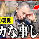 【年金いくら？】64歳「夫婦生活の現実、バカな事をした…今になって後悔」年金インタビュー