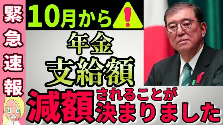 【65歳以上は緊急確認必須です】10月の年金からとんでもない”ある制度＂が動き出します。在職定時改定と在職老齢年金を徹底解説します。