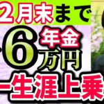 【65歳以上申請必須です】申請するだけで年金に＋6万5千円が一生上乗せ！最新の年金生活者支援給付金の対象者と申請方法を完全解説します