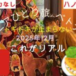 【ハノイ初めてのひとり旅】前編69歳シニアのリアル旅#年金生活者#おひとり様#60代#ソロ活#プチプラ#海外旅行#町歩き#ショッピング #グルメ