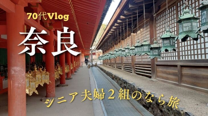 【70代主婦】シニア2組で奈良の旅①/あおによし/春日大社/二月堂/東大寺/奈良の大仏/あいにくの大寒波の中の旅行となってしまい、寒すぎました。