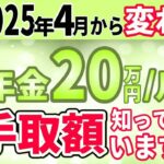 【令和7年4月から】年金20万円⧸月の驚きの手取り額!？税金でこんなにも天引きされるの？年金支給額240万円⧸年もらえる人の手取額を分かりやすく解説【所得税・住民税・国民健康保険料・介護保険料】