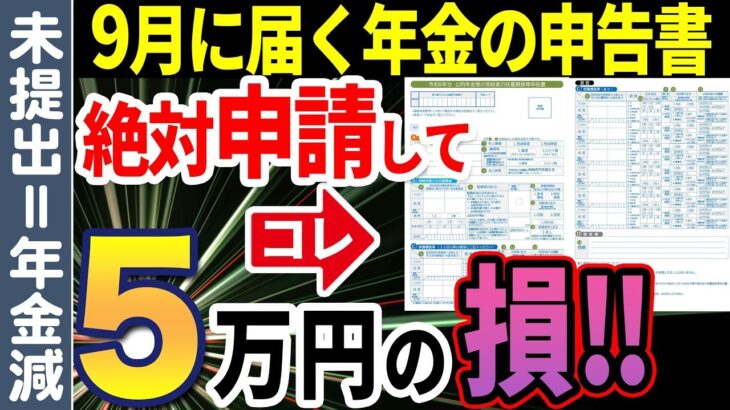 🎏【9月に届く】公的年金に関する書類を必ず出して！提出しないと年金が減額される仕組みについて解説【扶養親族等申告書】🎏