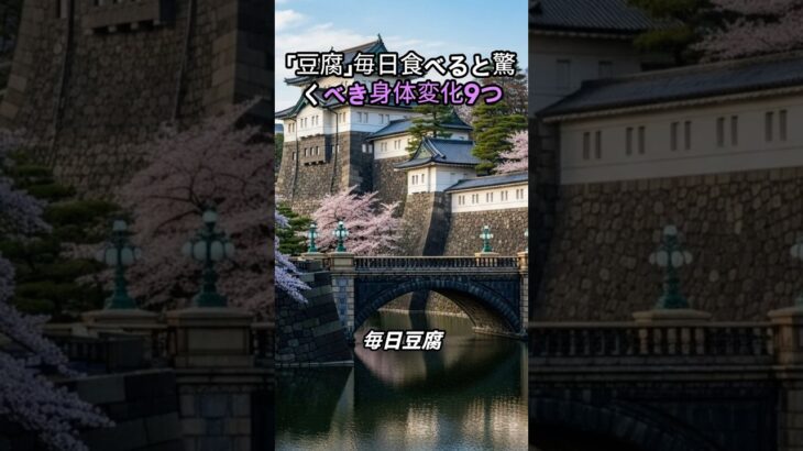「豆腐」毎日食べると驚くべき身体変化9つ