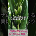 松阪市 シニア向けスマホ活用教室 スーパーの特売情報も簡単検索 AI活用 #shorts