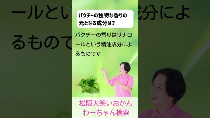 松阪市 シニア向けスマホ活用教室 栄養バランスを考えた献立をAIと一緒に 心も整う #shorts