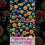 松阪市 シニア向けスマホ活用教室 健康食のヒントをAIの豆知識でチェック #shorts