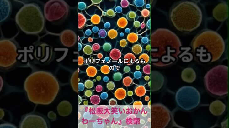 松阪市 シニア向けスマホ活用教室 健康食のヒントをAIの豆知識でチェック #shorts