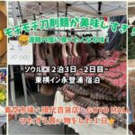 【ソウル🇰🇷】シニア母👵との２人旅②もちもち刀削麺⭐️東大門・青空市場から現代百貨店！高速ターミナル！ひたすら買い物DAY！蘭州刀削麺/ハルモニチョッキ/ボンボンシール