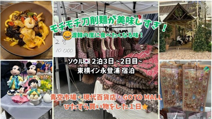 【ソウル🇰🇷】シニア母👵との２人旅②もちもち刀削麺⭐️東大門・青空市場から現代百貨店！高速ターミナル！ひたすら買い物DAY！蘭州刀削麺/ハルモニチョッキ/ボンボンシール