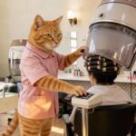 【シニア猫の台所】トラばあちゃん、美容室でバイトしてみた！ Grandma Tora tries part-time work at the beauty salon!