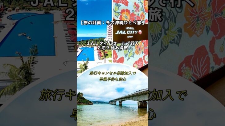 【旅の計画：冬の沖縄ひとり旅】JALタイムセール＆早割利用でお得に。｜ハイロのひとり旅日記