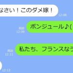 【LINE】新婚旅行に同行してきた迷惑シニアの義母→ヤバすぎたので置き去りにして帰国してからの→衝撃の事実をDQNに告げた時の反応がｗ【総集編】