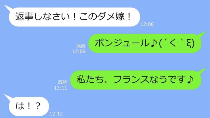 【LINE】新婚旅行に同行してきた迷惑シニアの義母→ヤバすぎたので置き去りにして帰国してからの→衝撃の事実をDQNに告げた時の反応がｗ【総集編】