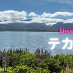 【シニア旅　New ZeaLand⑦】テカポ湖