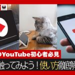 【シニア世代】YouTube初心者必見！シニアから始めるyoutubeの使い方徹底講座　生活　ライフスタイル　デバイス　スマホ