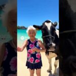 寒い時はあったかい場所へ！沖縄！うしたんとおばあちゃん旅行記 #シニア演技 #cowlover #aiおばあちゃん #animals #シニア女優＃旅行記＃沖縄