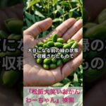 松阪市 シニア向けスマホ活用教室 料理の由来がわかる 毎日の食事が楽しい #shorts