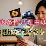 ”スマホ用語が怖くなくなる！シニアのためのやさしい解説”クッキー・キャッシュ・ポップアップ？？