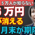 【注意】２０２６年１月末が申請期限！一生年金が増える月６万円の支援給付金【年金・政府・高齢者必見】