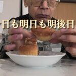 今日も明日も明後日も「現役年金シニアの現実」