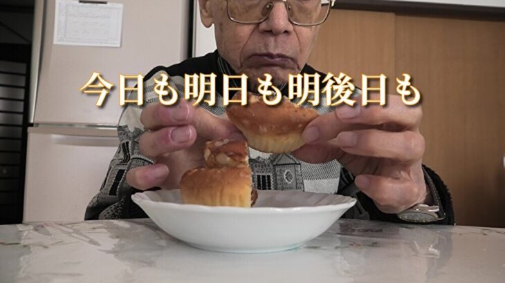 今日も明日も明後日も「現役年金シニアの現実」