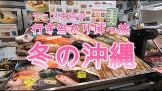 シニア夫婦 冬の沖縄 行き当たりばっ旅！国際通り周辺でお宝さがし?