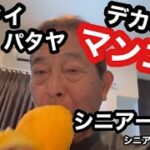 🇹🇭#タイ、パタヤ、デカいマンゴー、#シニア一人旅、#シニアルーティーン