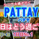 【シニア夫婦が行くパタヤ】１日目格安乗り継ぎ便を利用してタイへ。アクシデント続きでようやくパタヤ到着。呑んで食べて地元グルメを満喫するシニア旅。どうやって注文すればいいのか当たって砕けろ精神で！