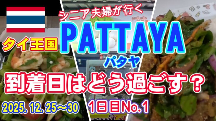 【シニア夫婦が行くパタヤ】１日目格安乗り継ぎ便を利用してタイへ。アクシデント続きでようやくパタヤ到着。呑んで食べて地元グルメを満喫するシニア旅。どうやって注文すればいいのか当たって砕けろ精神で！