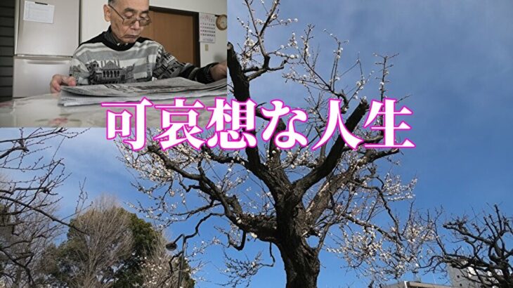 可哀想な人生「年金シニアの現実」
