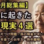 【シニア人生エピソード総集編】お正月に起きた辛い現実４選｜実家の片付け・孫の帰省・年金とお年玉・熟年離婚