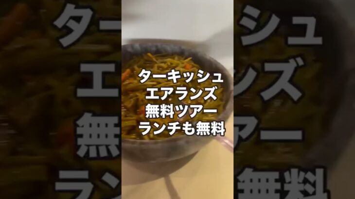 【実体験】ターキッシュエアラインズ無料トランジットツアーの昼食｜イスタンブールのホテルビュッフェ