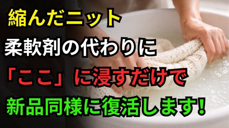 縮んだニット、リンスは使わないでください！「これ」一つで新品のように復活させる方法｜クリーニング店の秘密公開