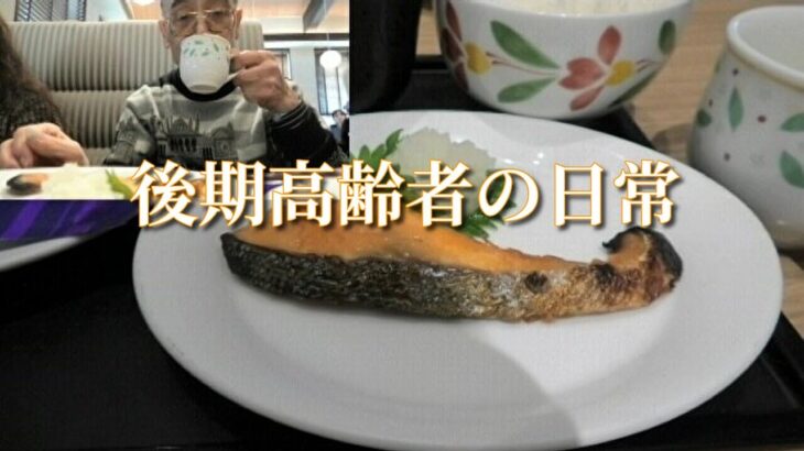 後期高齢者の日常「現役年金シニアの現実」