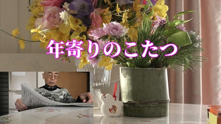 年寄りのこたつ「年金シニアの現実」