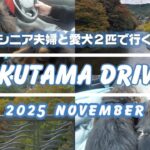 【愛犬たちとドライブ旅】シニア夫婦と愛犬２匹で行く　秋の奥多摩ドライブ